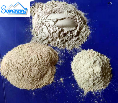 �X�\�����ۏS�҈D