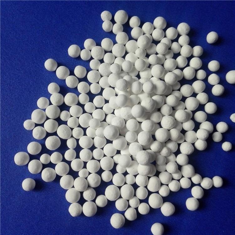 ���������X�S�҈D