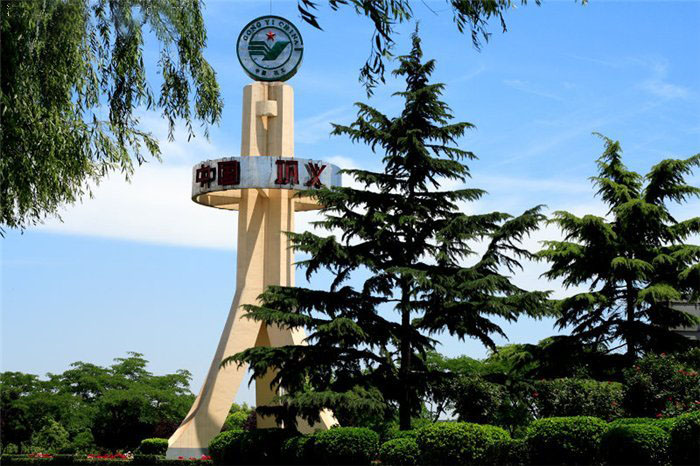 �X�\������x���X�\���S�҈D